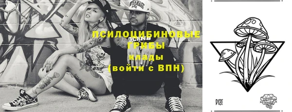стафф Верея